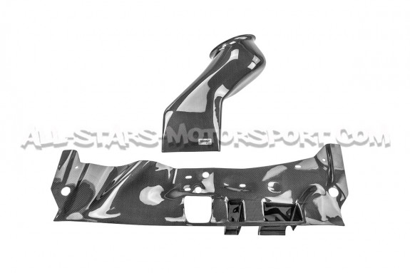 Admision de carbono Gruppe M para Mitsubishi Lancer Evo 10