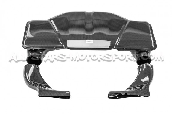 Admision de carbono Gruppe M para Audi RS6 C5