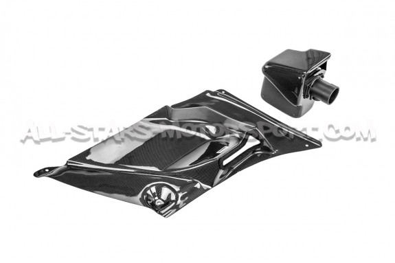 Admission carbone Gruppe M pour Honda Civic Type R FN2