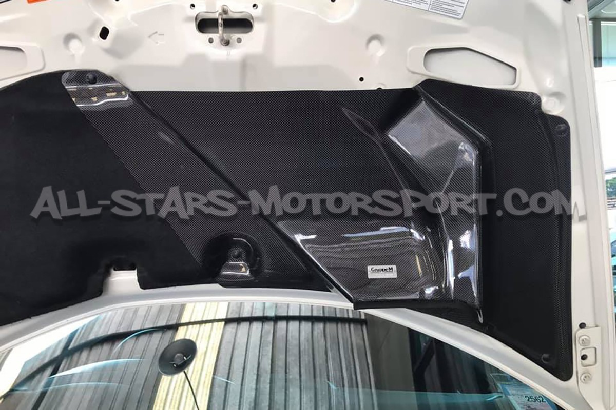 Admision de carbono Gruppe M para Honda Civic Type R FN2