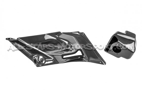 Honda Civic Type R FN2 Gruppe M Carbon Fiber Intake System
