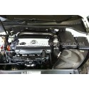 Admision de carbono Gruppe M para Golf 6 GTI