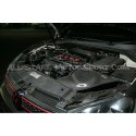 Admision de carbono Gruppe M para Golf 6 GTI