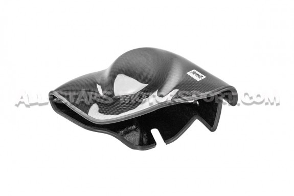 Admision de carbono Gruppe M para Polo 6R GTI