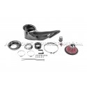Admision de carbono Gruppe M para Audi S5 8T 4.2 FSI