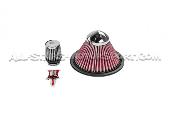Admision de carbono Gruppe M para Audi S5 8T 4.2 FSI