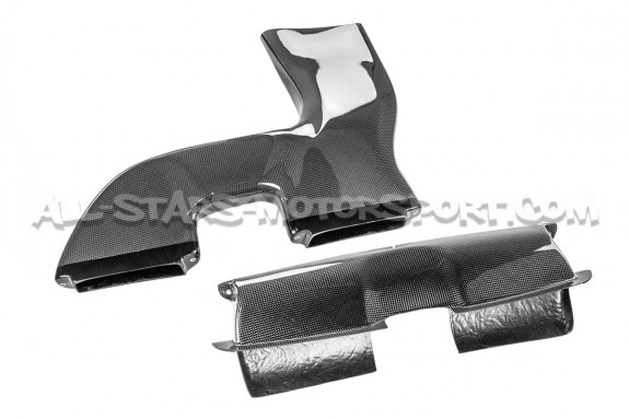 Admission carbone Gruppe M pour 335i E9x N54