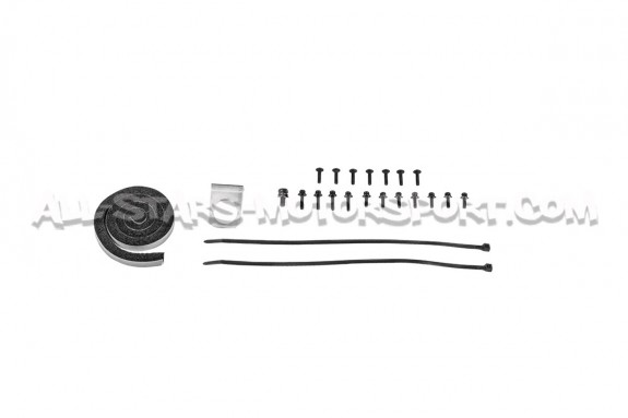 Admision de carbono Gruppe M para BMW 335i E9x