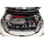 ITG Maxogen Intake for Toyota Yaris GR Gen.1