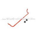 Toyota GT86 / Subaru BRZ Tanabe Front Sway Bar