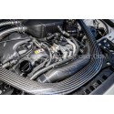 Alpha Competition Oil Thermostat Caps BMW M135i / M235i / 335i / M2 / M3 / M4 - N54/N55/S55