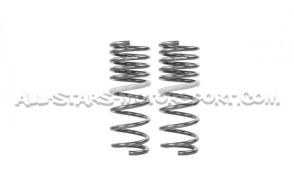 Toyota GR86 / Subaru BRZ ZD8 Tanabe Funtoride -25mm Lowering Springs