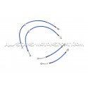 Flexibles de frein aviation Goodridge pour Audi S3 8Y / SQ2