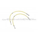 Latiguillos de freno metalicos Goodridge para Audi S3 8Y / SQ2