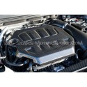 Tapa de motor de fibra de carbono Eventuri para Golf 8 GTI / Golf 8 R