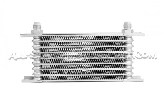 Civic Type R FK8 HKS Oil Cooler Kit
