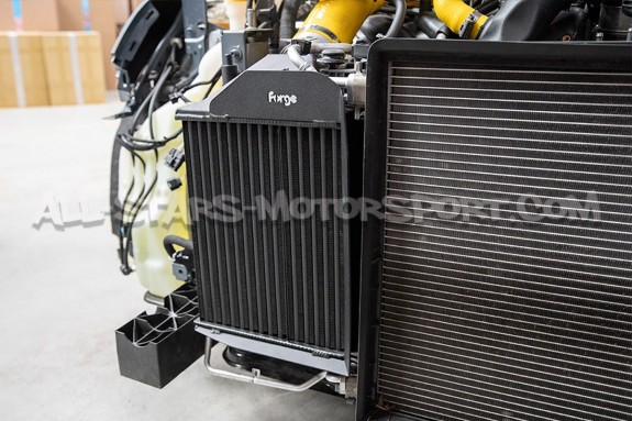 Intercambiador Forge Motorsport para Renault Megane 4 RS