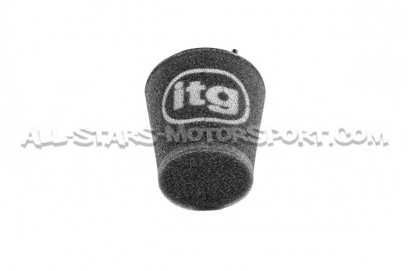 Audi S4 B8 / S5 8T ITG Profilter Panel Air filter
