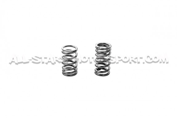 Nissan R35 GTR HKS Camshafts and Valve Springs Set