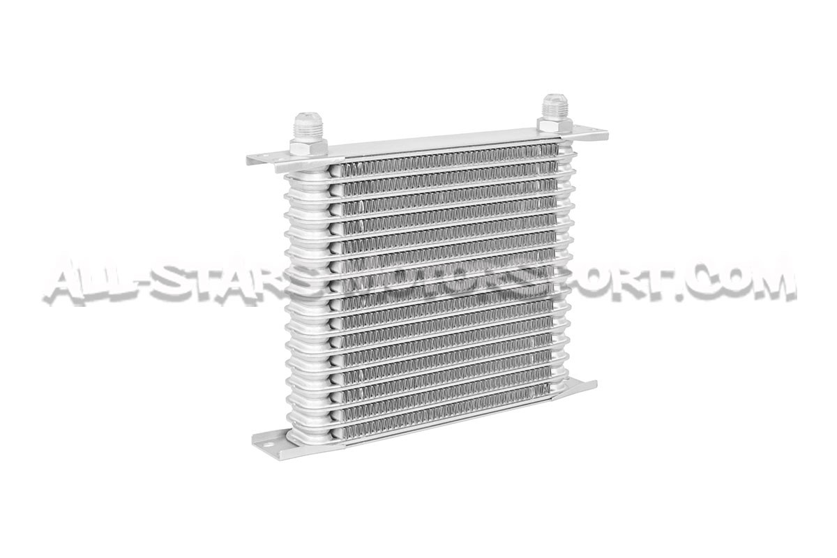 Mitsubishi Lancer Evo 9 HKS Oil Cooler Kit