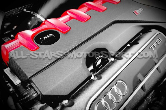 Varilla del nivel de aceite Racingline para Audi RS3 8V5 / TTRS 8S ...