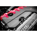 Jauge d'huile Racingline pour Audi RS3 8V5 / TTRS 8S / RSQ3 2.5 TFS...