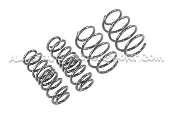 Skoda Octavia NX vRS Racingline Sport Springs