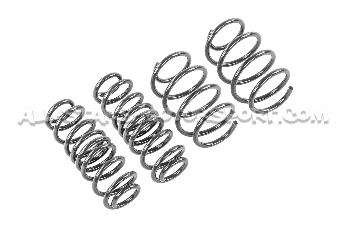 Kit ressorts courts Racingline pour Skoda Octavia NX vRS