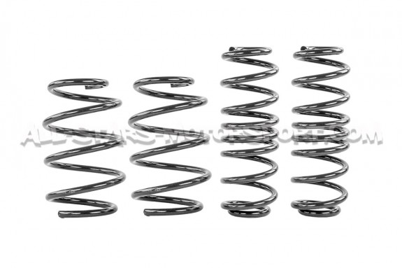 Skoda Octavia NX vRS Racingline Sport Springs