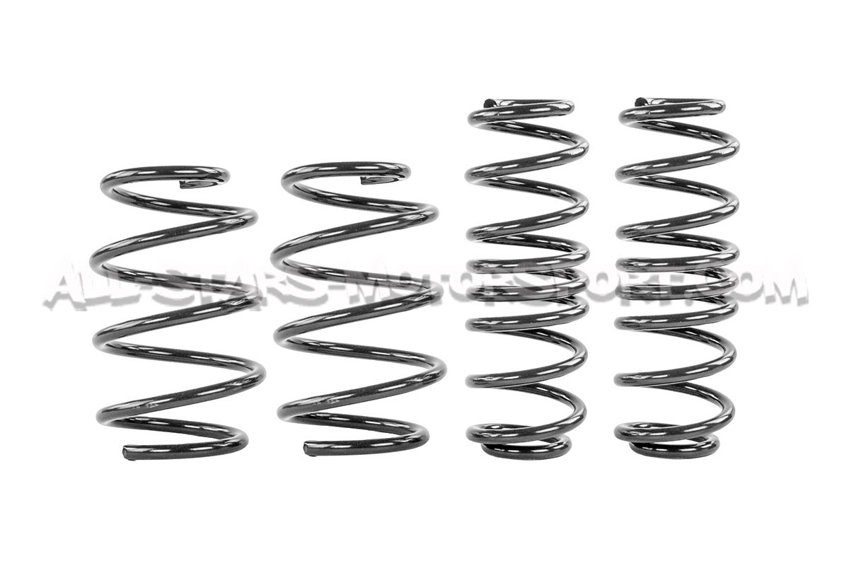 Skoda Octavia NX vRS Racingline Sport Springs
