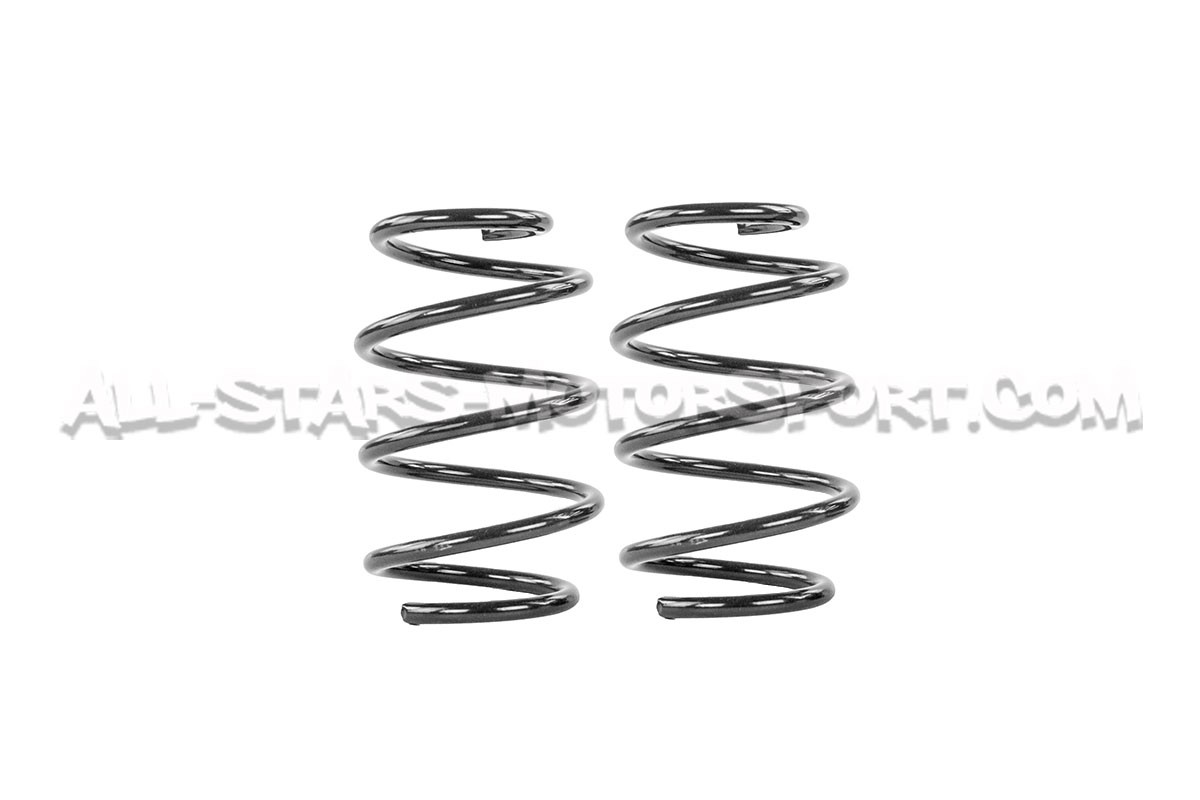 Muelles suspension Racingline para Skoda Octavia NX vRS