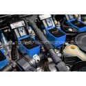 Bobinas de encendido Racingline azul para Audi RS3 8V.5 / 8Y / TTRS...