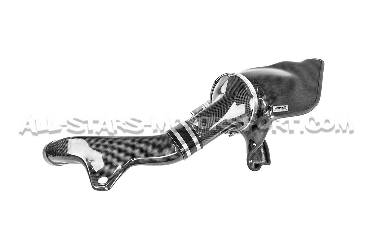 BMW M135i / M235i F2x Gruppe M Carbon Fiber Intake System
