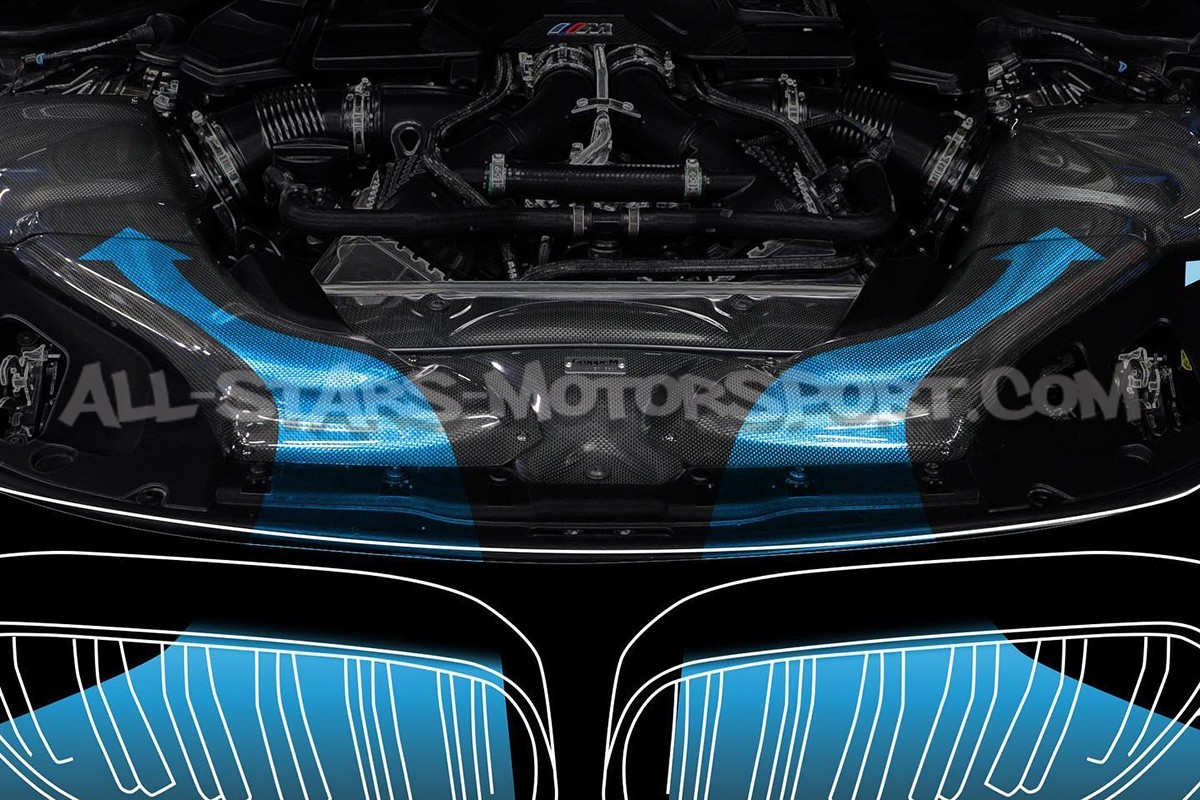 Admission carbone Gruppe M pour BMW M5 F90
