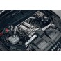 Downpipes descatalizadas Alpha Competition para Audi RSQ8 / Lamborghini Urus