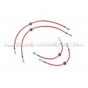 Latiguillos de freno metalicos Goodridge para BMW X3M F97 / X4M F98