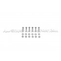 Downpipes descatalizadas Alpha Competition para Audi RS4 B9 / RS5 F...