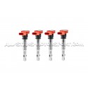 Audi R8 NGK red coil packs for VAG 2.0 TFSI / TSI / 1.8T