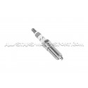 NGK LTR7IX-11 Colder Spark Plugs for Ford Mustang s550 5.0 V8 / 5.2