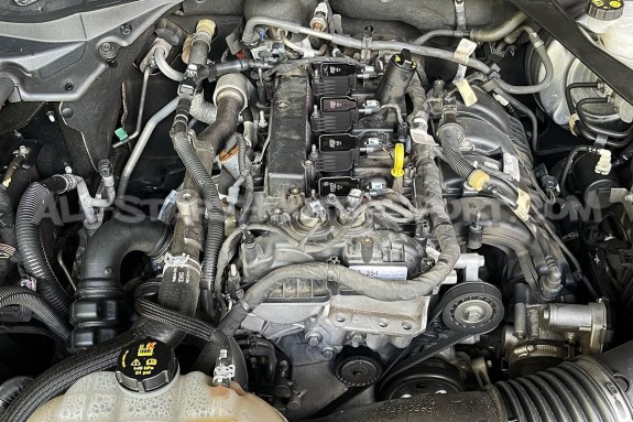 Bobines d'allumage MSD pour Ford Focus 3 RS / Mustang Ecoboost