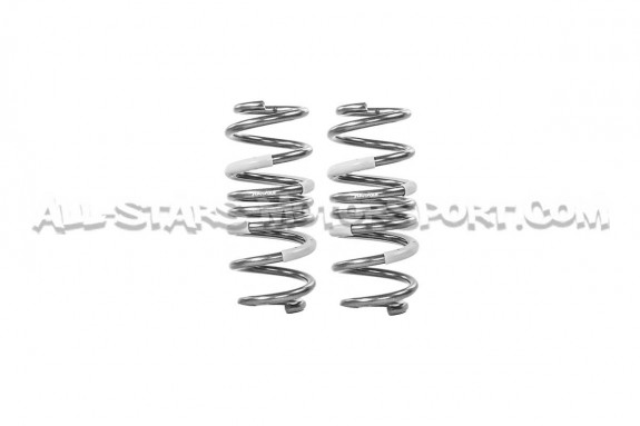 Honda Civic Type R FK8 / FL5 Tanabe Funtoride -20mm Lowering Springs