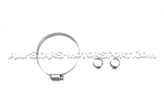 Bomba de combustible Deatschwerks DW200 / DW300 o DW420 para BMW M3...