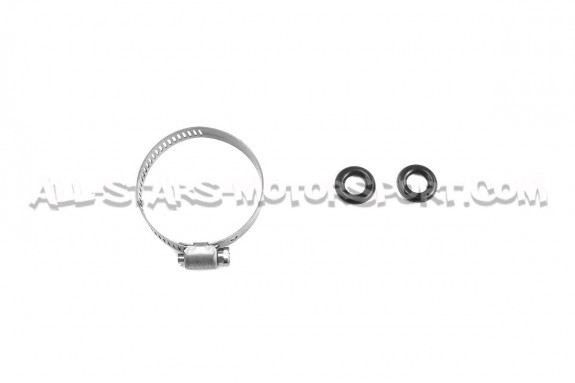 Pompe a essence Deatschwerks DW65C / DW300C pour Ford Focus 2 RS