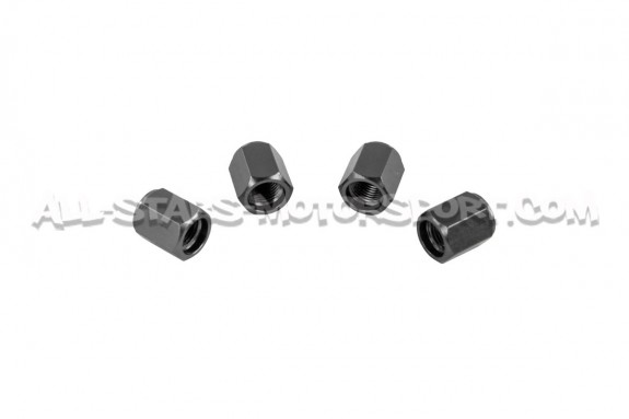 Bouchons de valves Dinan noir, argent ou gunmetal