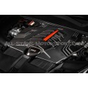Audi RSQ8 / Lamborghini Urus / Cayenne 4.0T APR Carbon Fiber Engine...
