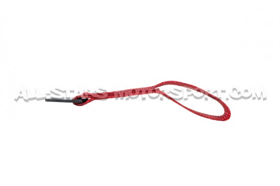 HKS 50th Tow Loop