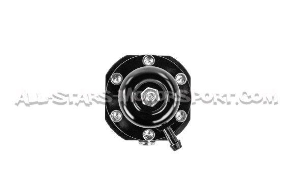 AEM Universal Fuel Pressure regulator