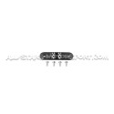 AEM Universal Fuel Pressure regulator