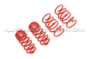 Golf 8 GTI APR Lowering Springs