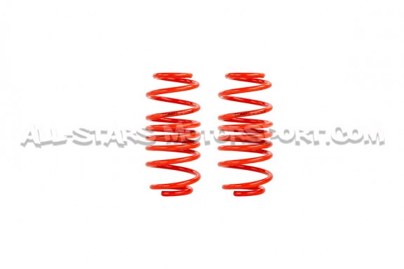 Ressorts courts V-MAXX -30mm pour Suzuki Swift Sport ZC33S
